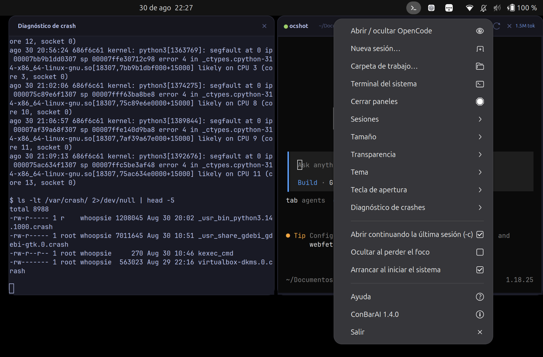 Consola de diagnóstico analizando un segfault junto al panel